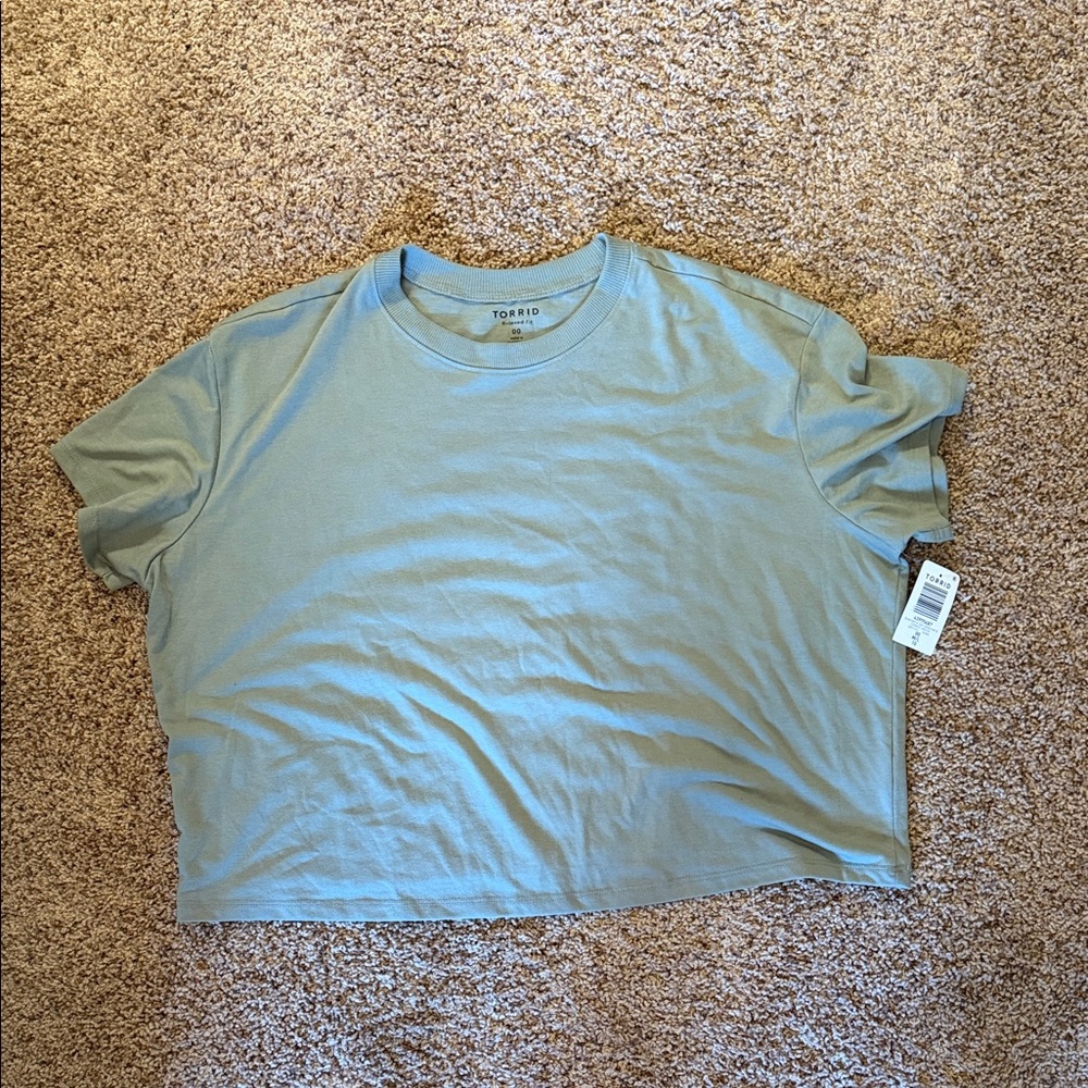 NWT Torrid Light Green Relaxed Signature Jersey Crew Neck Crop Tee - Size 00
